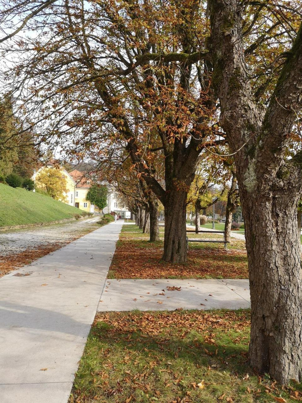 Apartments Soelek - Vila Golf Рогашка Слатина Экстерьер фото